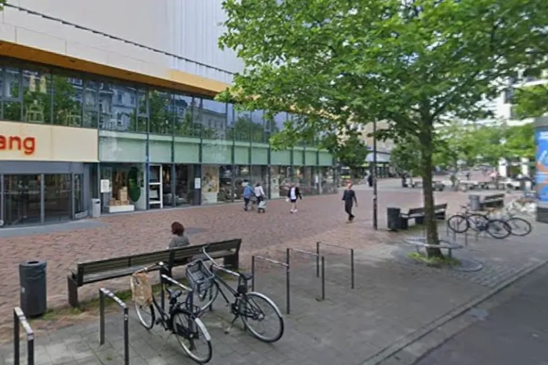 Vuk napao ženu u centru Hamburga: Ugrizao je za lice dok je pokušavala da ga skloni sa ulice