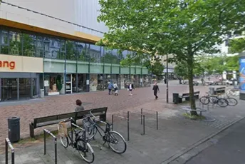 Vuk napao ženu u centru Hamburga: Ugrizao je za lice dok je pokušavala da ga skloni sa ulice