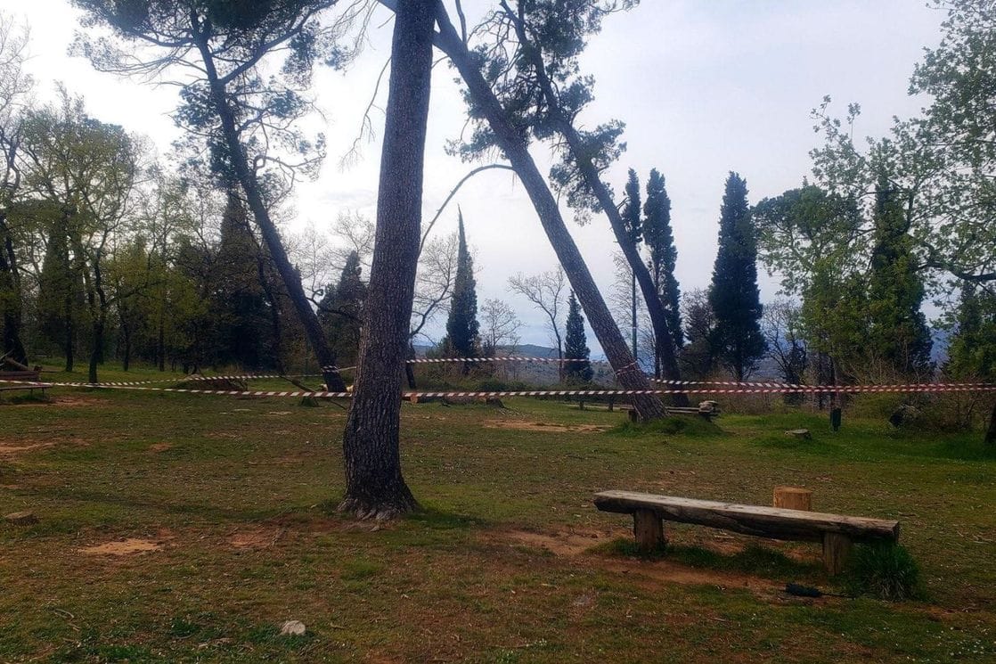 Oprezno: Zbog jakog vjetra opasnost od obrušavanja velikih stabala na Gorici