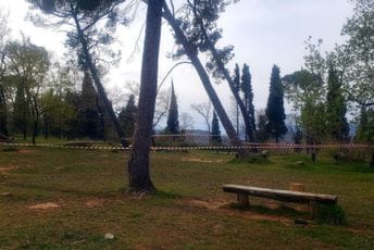 Oprezno: Zbog jakog vjetra opasnost od obrušavanja velikih stabala na Gorici