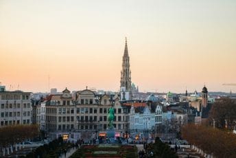 Holandija: Maloljetnik osuđen zbog planiranja napada na flamanski parlament i vojnu bazu