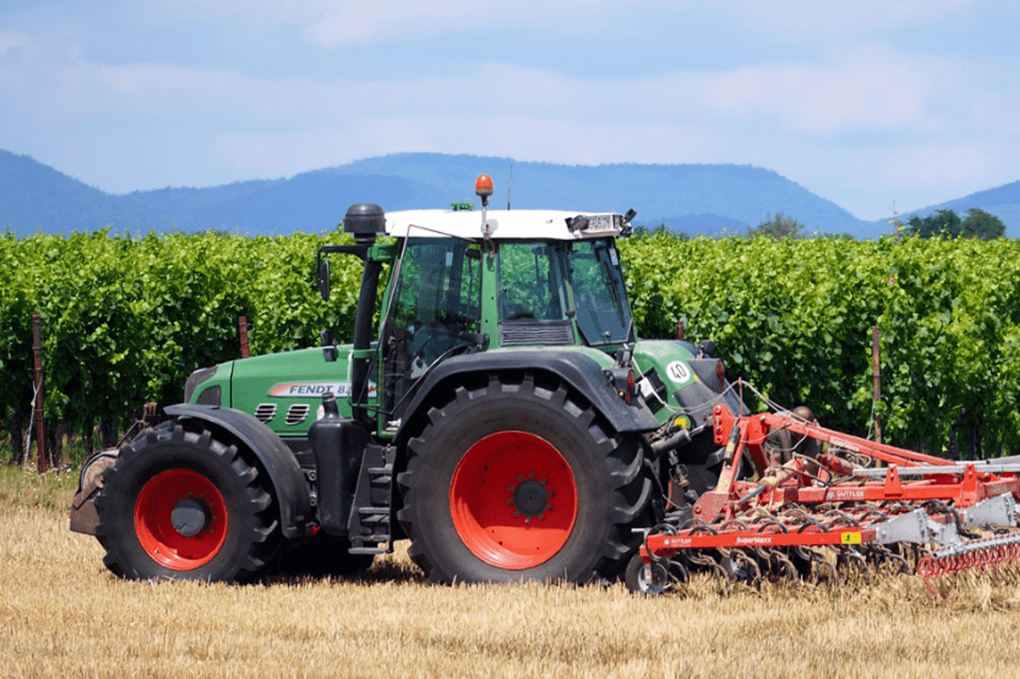 U Crnoj Gori manje oranica i bašti: U padu količine proizvedenog povrća