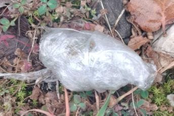 Iz automobila izbacili marihuanu na putnom putnom pravcu Božaj - Tuzi: Policija kotrolisala vozilo - zatekli troje maloljetnika