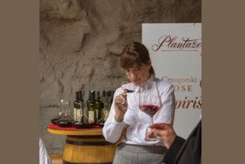 Crna Gora na vinskoj mapi svijeta Crna Gora na vinskoj mapi svijeta