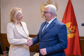 Mandićevi savjetnici u martu zaradili 16.000 eura, Danijeli Đurović od stupanja na dužnost 2.065 Mandićevi savjetnici u martu zaradili 16.000 eura, Danijeli Đurović od stupanja na dužnost 2.065