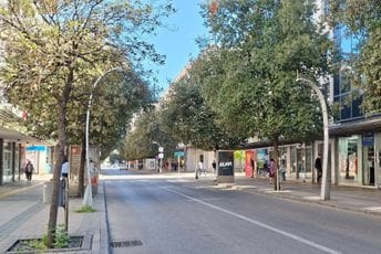 Počinje sistemska dezinsekcija na teritoriji Podgorice: Evo u kojim terminima će se izvoditi