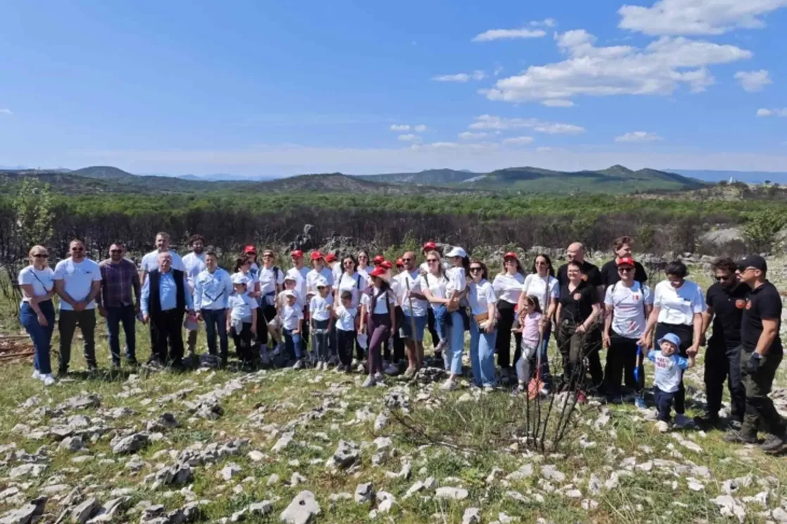 Piperi: Zasađeno više od 60 stabala na opožarenim područjima