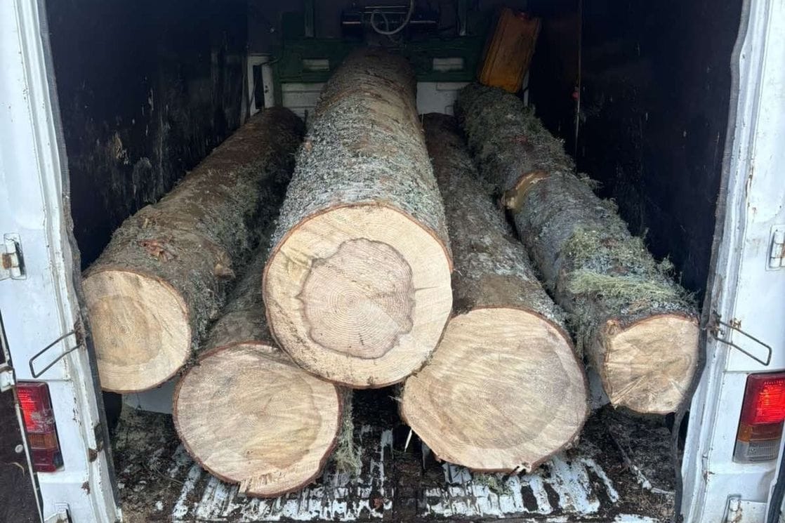 Krivično će odgovarati dvije osobe u Beranama: Jedan zbog bespravne sječe u šumi, drugi zbog krađe  bronzanih čaura iz firme