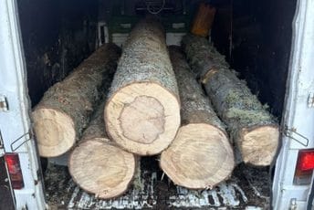 Krivično će odgovarati dvije osobe u Beranama: Jedan zbog bespravne sječe u šumi, drugi zbog krađe  bronzanih čaura iz firme