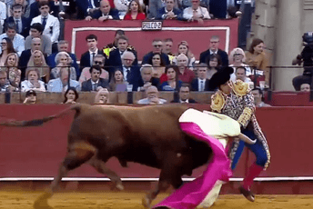 "Kralj matadora" teško povrijeđen: Pogledajte kako ga je ubo bik u Sevilji (VIDEO)
