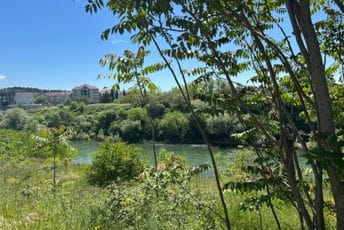 Danas sunčano, do 26 stepeni