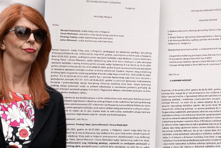 Mitrović: Moj progon je rezultat institucionalne korupcije i protivzakonitog uticaja SDT-a