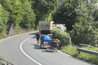 Jeste li na našim putevima vidjeli ovog čovjeka sa magarcima: Njegova priča je veoma interesantna