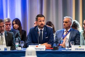 Miltović: Jasno vidimo svoju budućnost u EU