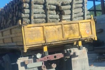 Nikšić: Tri osobe procesuirane zbog nelegalne sjeće šume, zaplijenjena veća količina drva