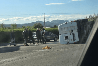 Saobraćajna nezgoda u Zeti: Prevrnuo se kamper, povrijeđena jedna osoba