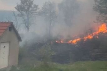 Nikšić: Situacija i dalje ozbiljna, vatra u blizini više kuća Nikšić: Situacija i dalje ozbiljna, vatra u blizini više kuća