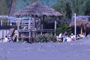 Kum Dritana Abazovića do 2031. zakupio lokal bez javnog tendera za samo 13.000 eura godišnje Kum Dritana Abazovića do 2031. zakupio lokal bez javnog tendera za samo 13.000 eura godišnje