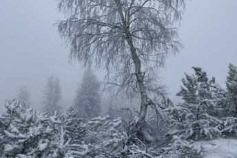 (FOTO) Snijeg u maju: Zabijeljelo na Durmitoru