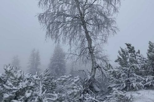 (FOTO) Snijeg u maju: Zabijeljelo na Durmitoru