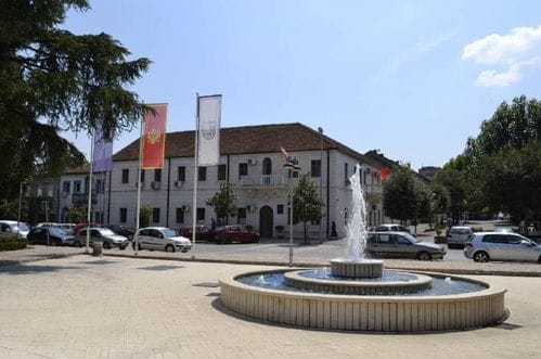 Opština Danilovgrad: Nadležni da utvrde identitet i odgovornost lica koje je držalo pse u lošim uslovima