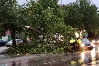 (FOTO) Nevrijeme zahvatilo Crnu Goru: Vjetar lomio drveće, pojedine saobraćajnice blokirane