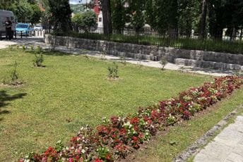 Prijestonica Cetinje: Sadnjom novih stabala i ukrasnog bilja dodatno unaprijeđene zelene površine, stvoren ljepši i prijatniji ambijent