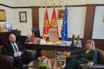 Pavličić i Božović novi predstavnici Crne Gore u Venecijanskoj komisiji