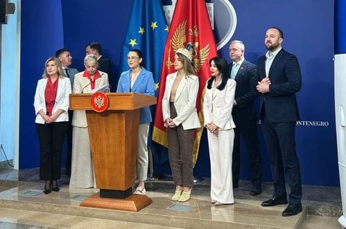 Despotović: Vlast više nema pravo da govori da se bori za boljitak poljoprivrednika