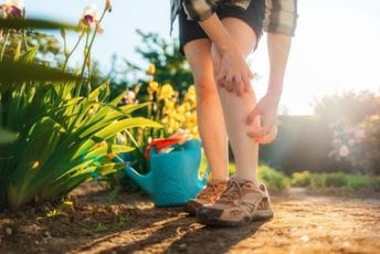 Gori su od komaraca: Ujed ovih insekata može da izazove bolne otoke