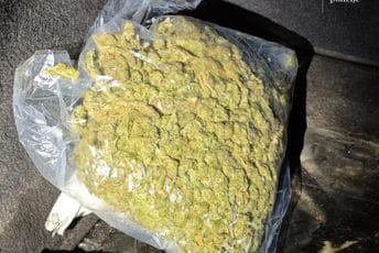 Akcija policije u Podgorici: Oduzeto više od kilogram marihuane, uhapšene dvije osobe