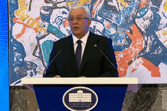 Mandić: Unosim reprodukciju "Kosovskog boja" u kabinet