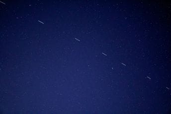 Starlink Montenegro registrovan u Poreskoj upravi, na čelu kompanije Zdravko Gardović