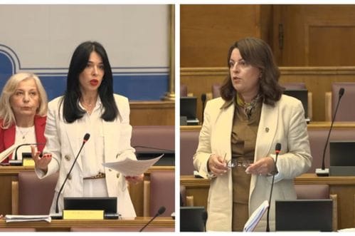 Vujović: Štampa je bila ugrožena i bez PDV-a; Bojanić-Lalović: Vi treba da promovišete knjige