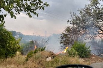 Požar u Tuzima: Gorjeli kontejneri, vatra se proširila na travu pored puta (FOTO)