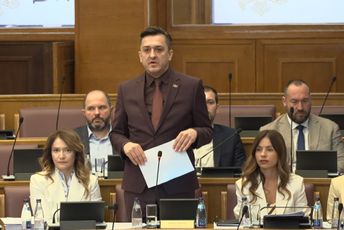 Konatar: Trebali ste da dođete na sjednicu Odbora za ekonomiju; Vuković: Odgledao sam je, imam dosta zamjerki