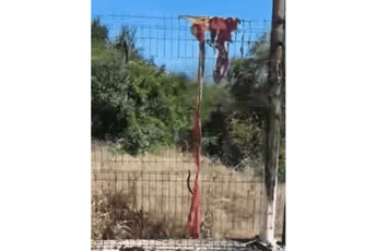 (VIDEO) Danilovgrad: Zapaljena crnogorska zastava (VIDEO) Danilovgrad: Zapaljena crnogorska zastava