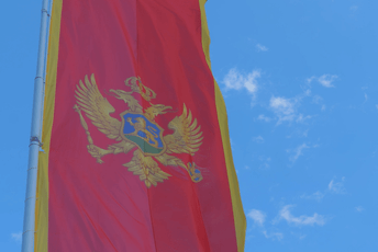 Cetinjanin vrijeđao državnu zastavu i tražio da se ukloni, biće podnešena krivična prijava Cetinjanin vrijeđao državnu zastavu i tražio da se ukloni, biće podnešena krivična prijava