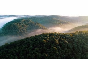 (FOTO) Pronađena nova vrsta majmuna, evo i đe