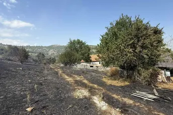 Požar u Katunskoj nahiji: Vatra se približila objektima