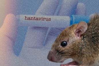 Venecuela: Tri osobe preminule od hantavirusa