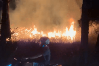 (VIDEO) Podgorica: Gorjelo u Tološko šumi, brza reakcija vatrogasaca spriječila požar većih razmjera