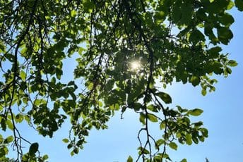 Danas više sunca i rast temperature Danas više sunca i rast temperature
