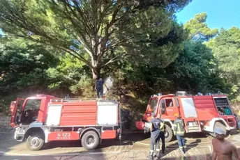 Požar u Sutomoru: Gori šuma između magistrale i pruge