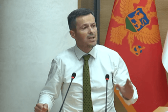 Mujović: Protiv smo promjene imena biblioteke; Radulović: Pripazite kako se obraćate