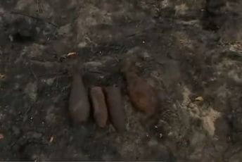 U francuskom selu šumski požari otkrili više od 400 granata iz Drugog svjetskog rata U francuskom selu šumski požari otkrili više od 400 granata iz Drugog svjetskog rata