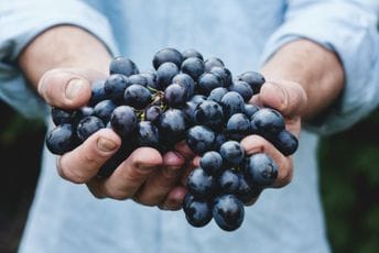 MPNI: Za istraživanje i očuvanje Kratošije izdvojeno 60 hiljada eura