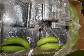U britanskoj luci pronađeno 2,9 tona kokaina: Bio je sakriven među bananama