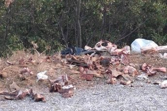 Gomila životinjskog otpada i kosti pored puta na krivini ka Lukovu