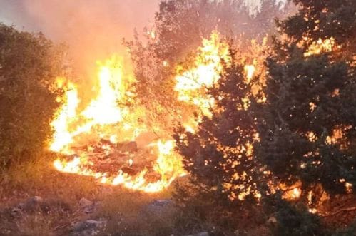 Podgorica: Požar na Peuti pod kontrolom